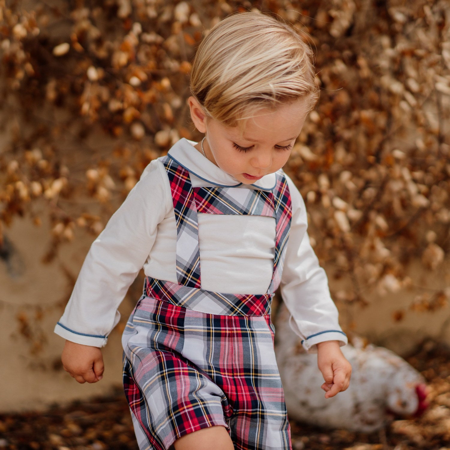 Baby Winterberry Tartan Shorts with Braces