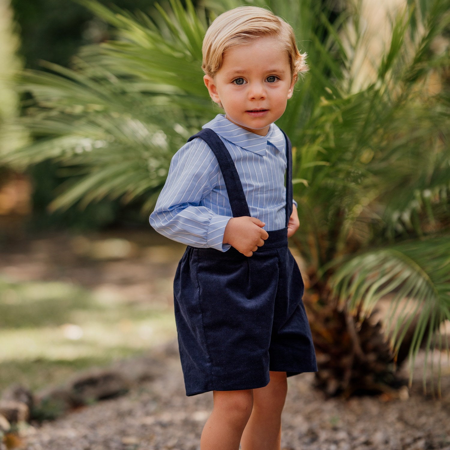 Baby Navy Whisper Cord Shorts with Braces