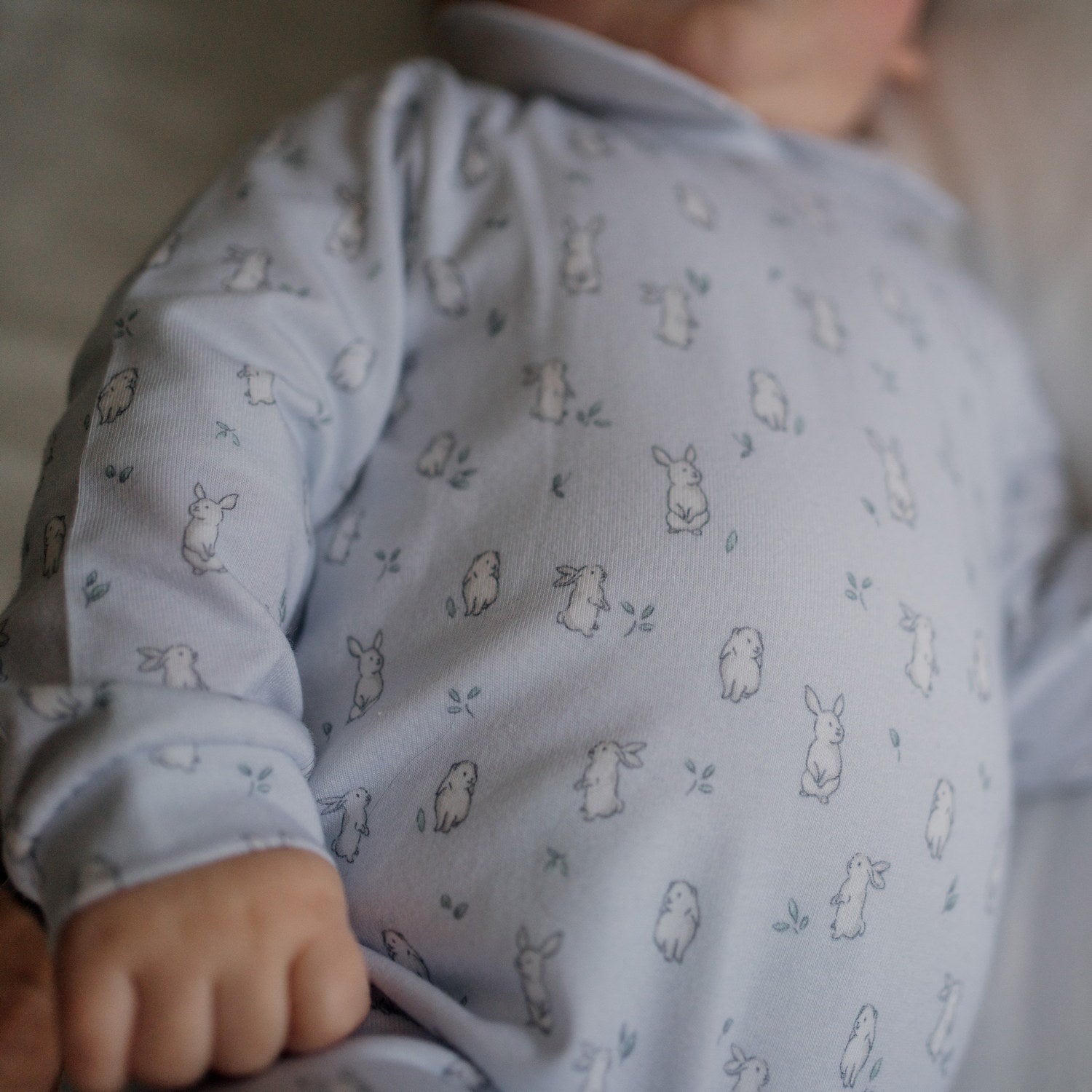 Baby Blue Bunnies All-in-one