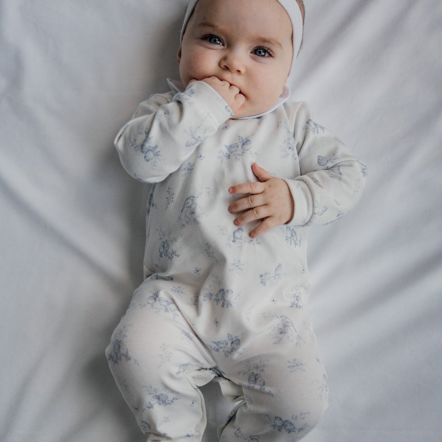 Baby Blue Birds All-in-one