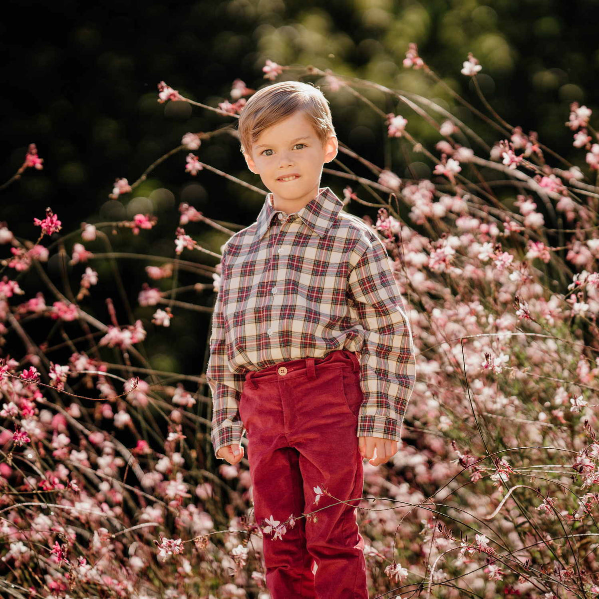 Boy Burgundy Corduroy Trousers