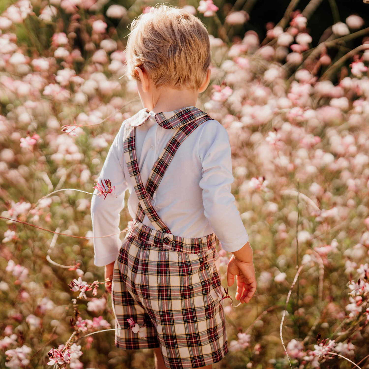 Baby Burgundy & Cream Tartan Shorts with Braces