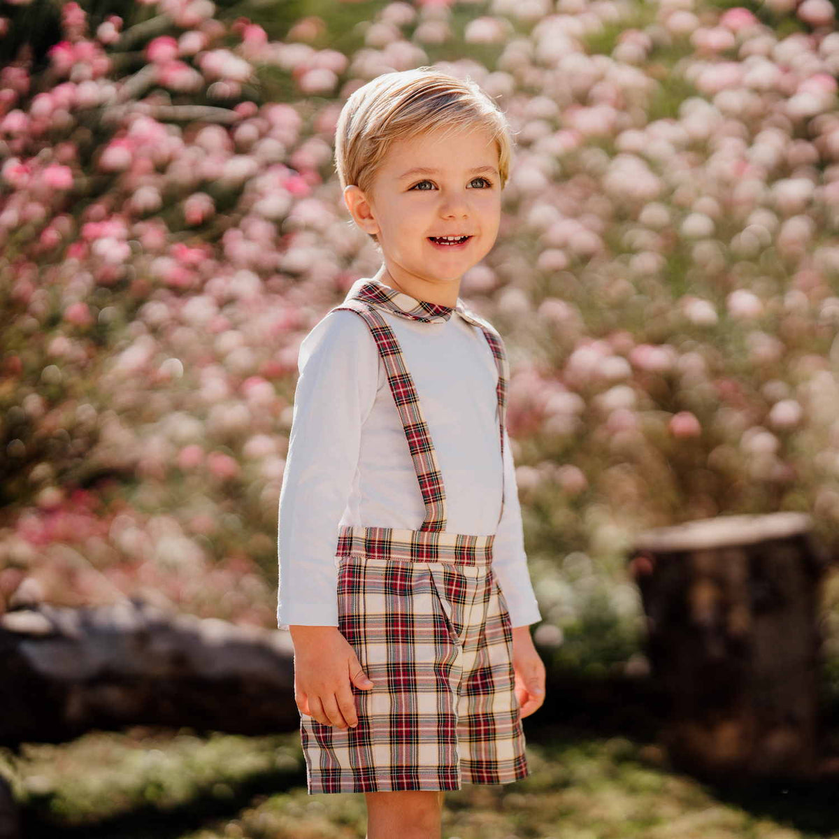 Baby Burgundy & Cream Tartan Shorts with Braces