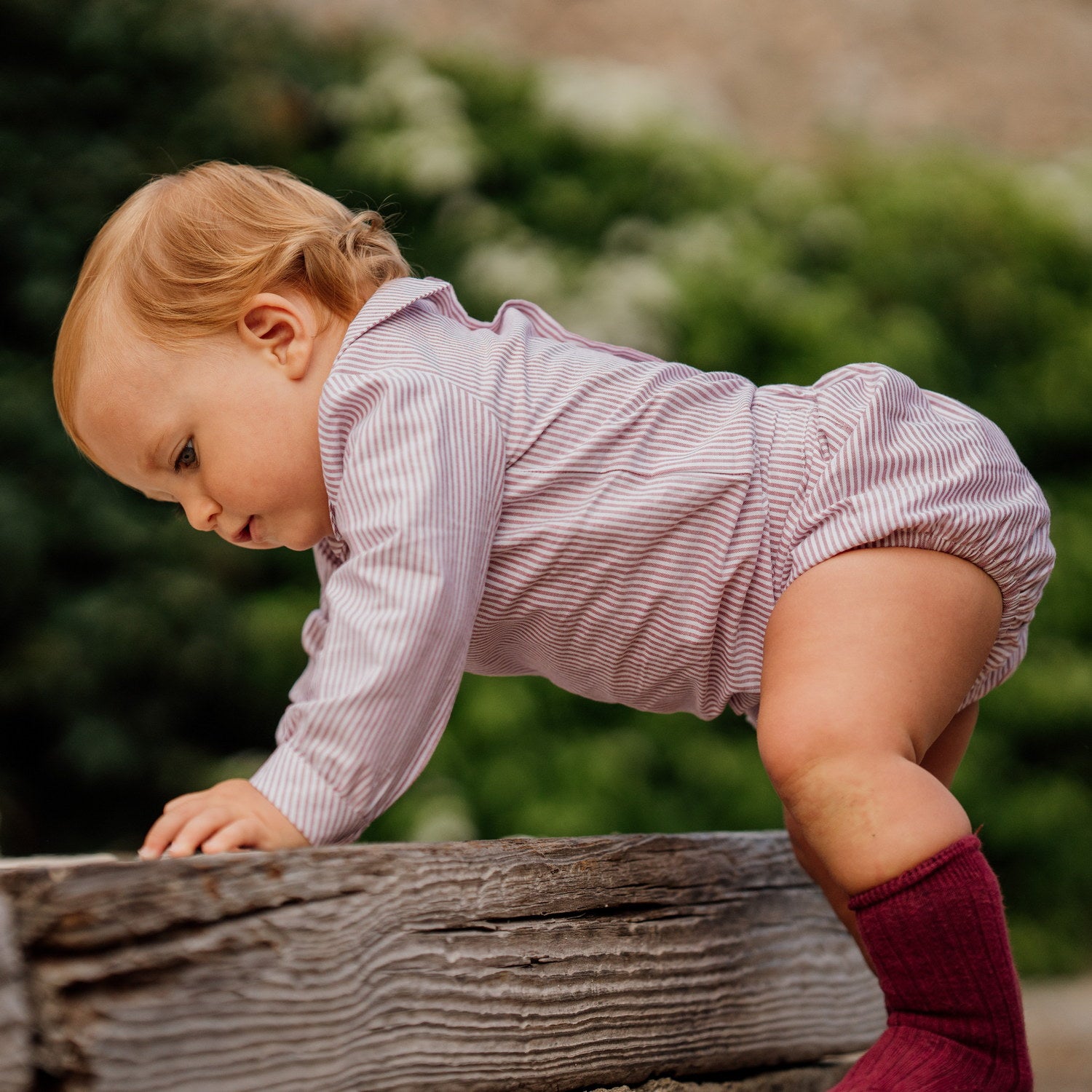Baby Burgundy Mist Bloomers
