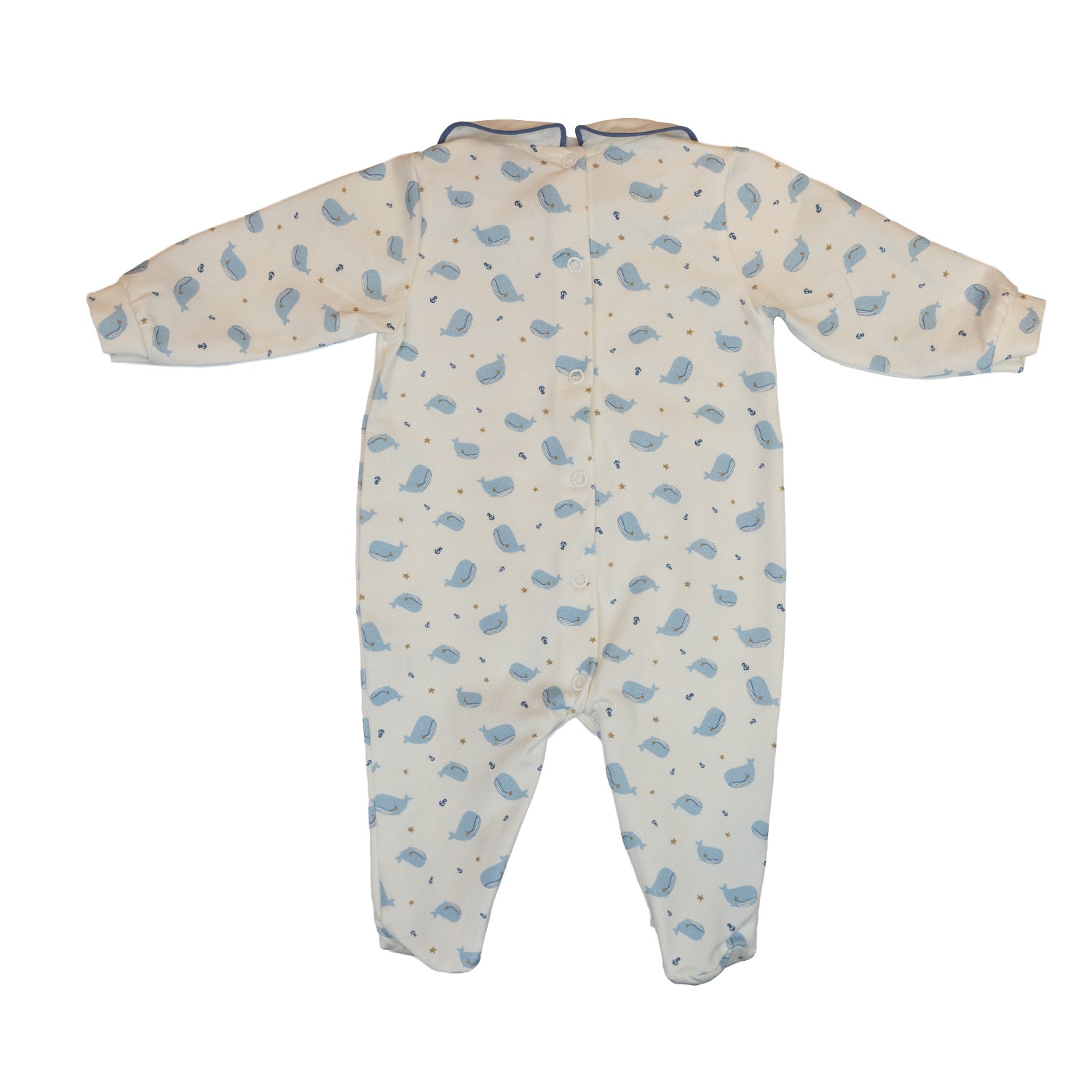 Baby Blue Whale Voyage All-in-one