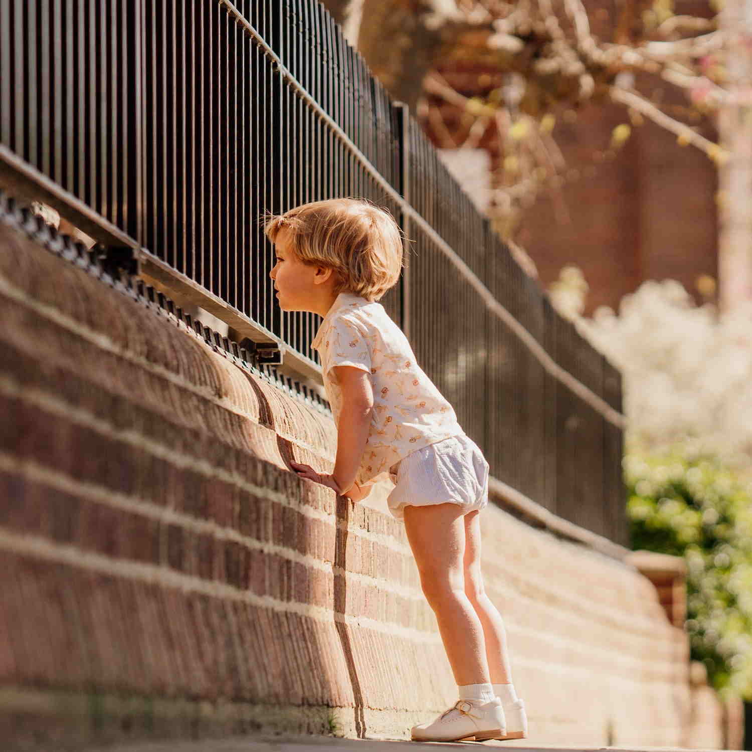 Baby Cream Stripe Seersucker Bloomers