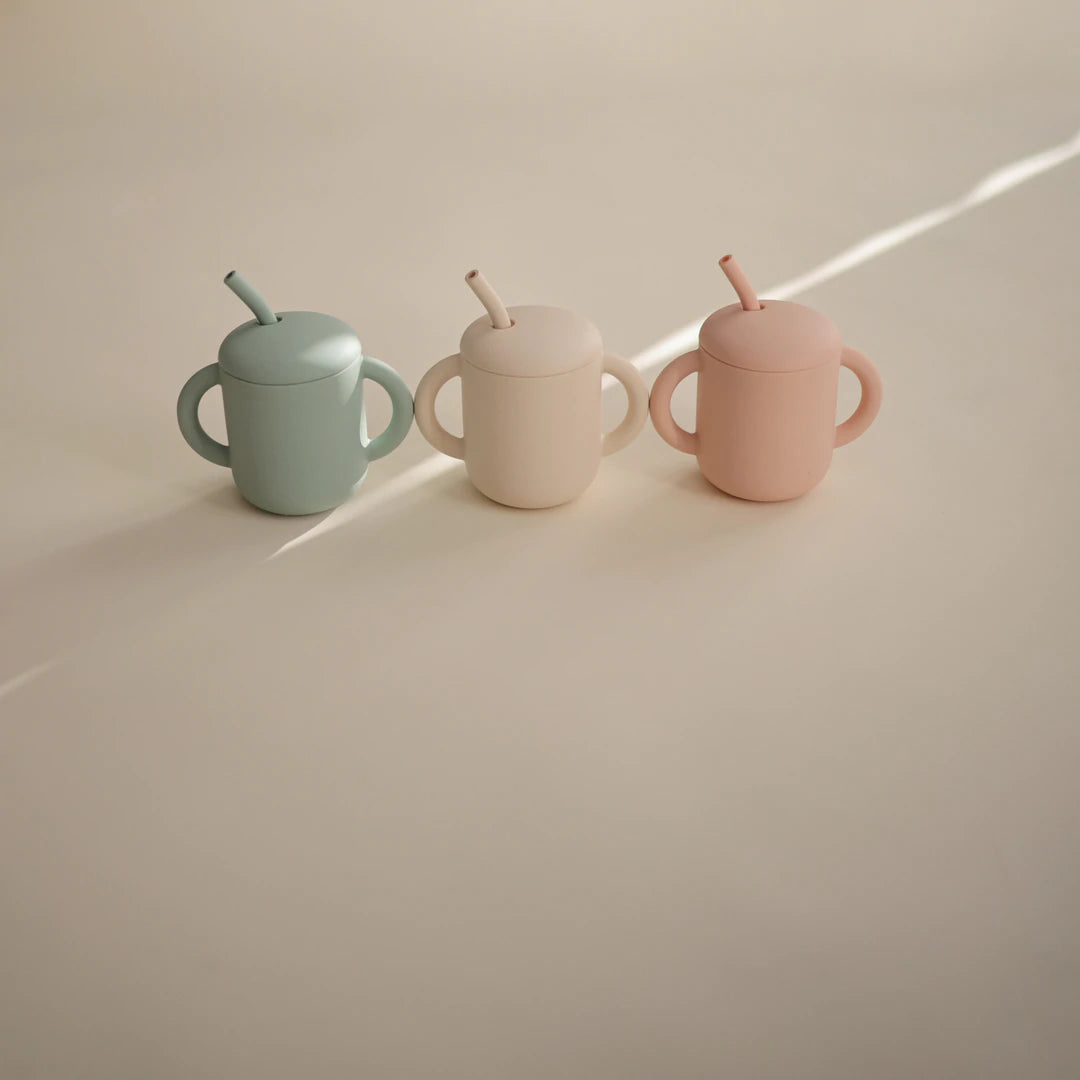 Mushie Silicone Training Cup + Straw Blush