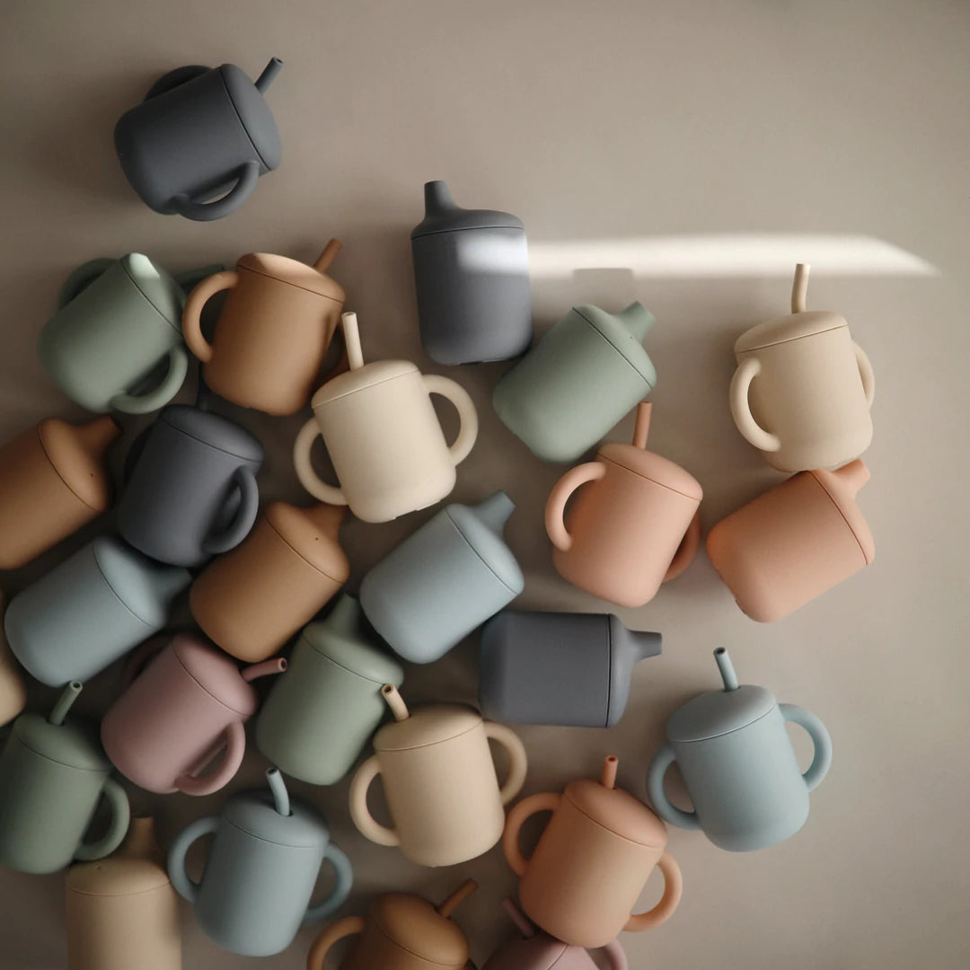 Mushie Silicone Training Cup + Straw Blush