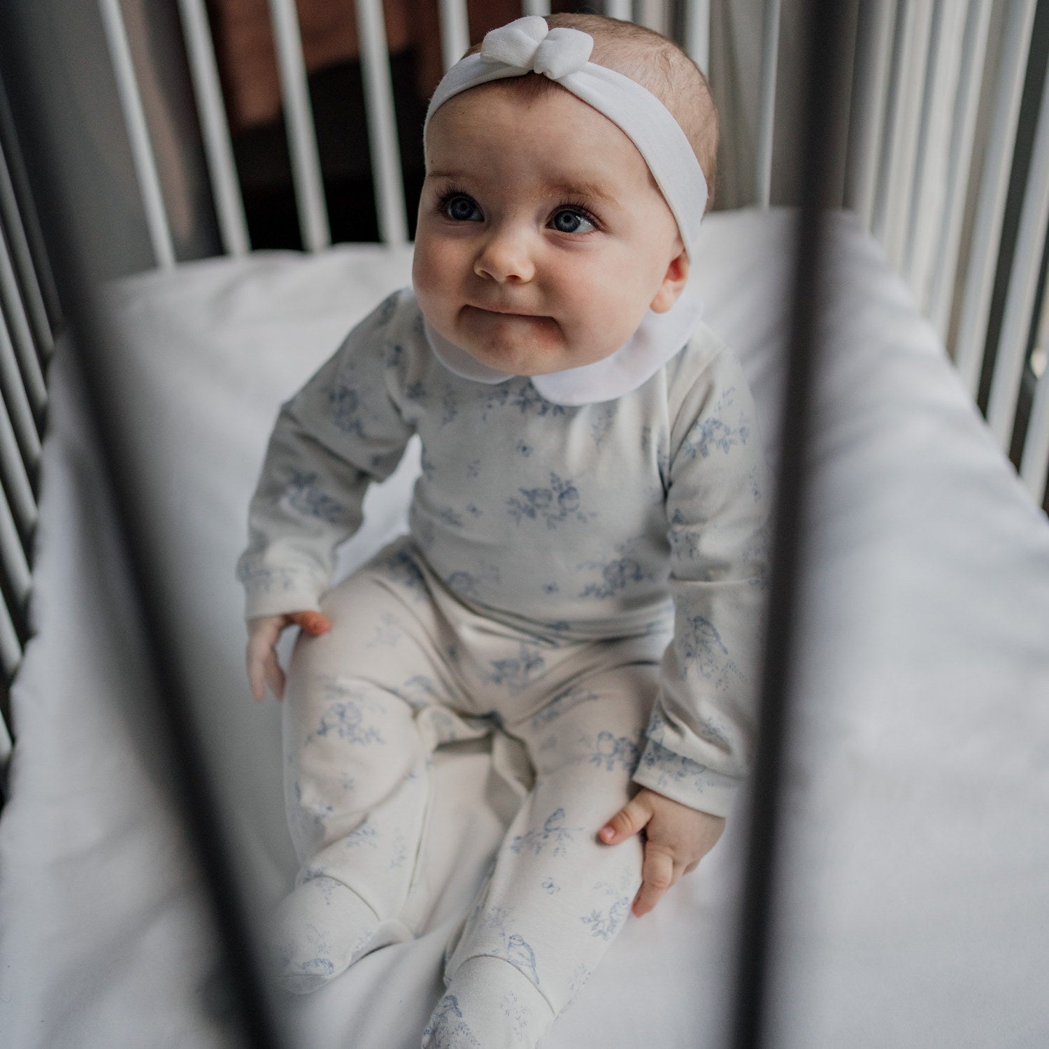 Baby Blue Birds All-in-one