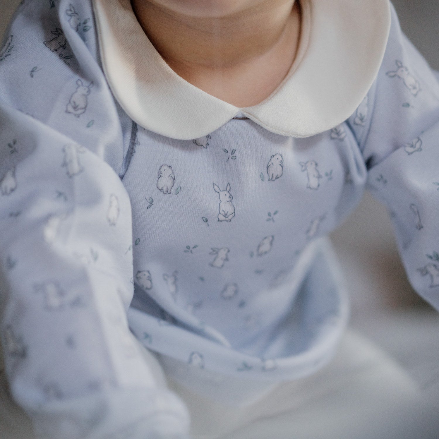 Baby Blue Bunnies Set