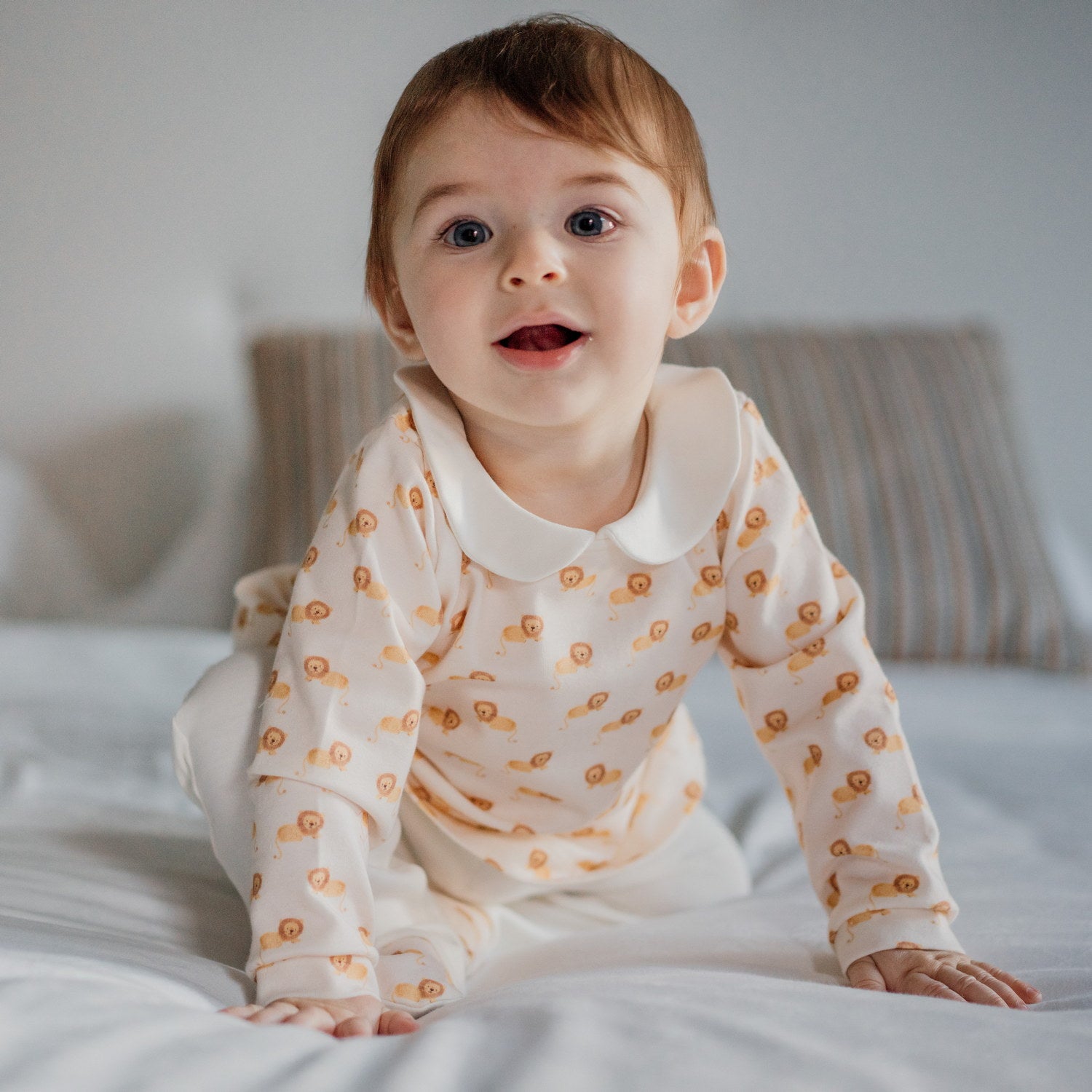 Baby Lions Set