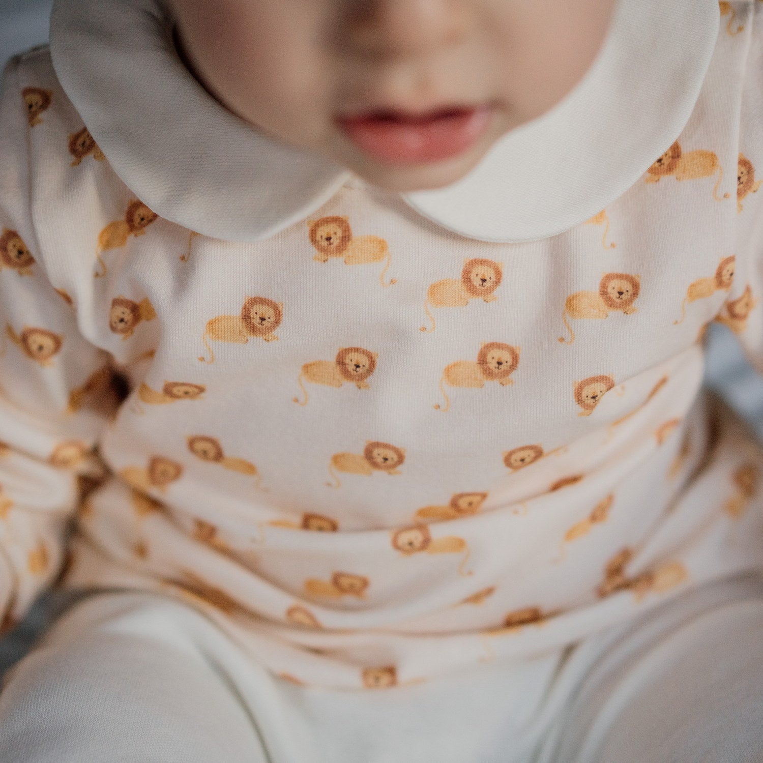 Baby Lions Set