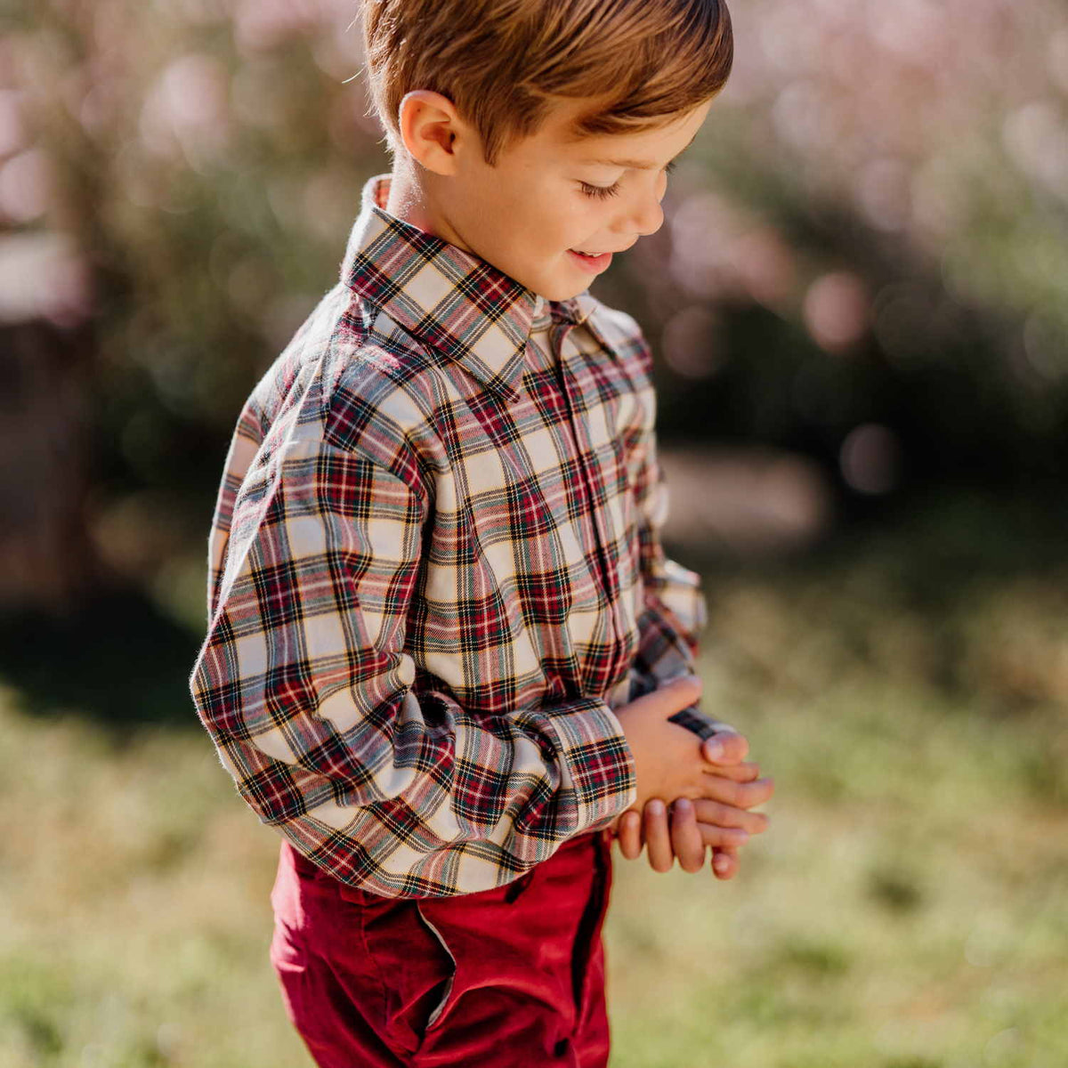 Boy Burgundy & Cream Tartan Shirt