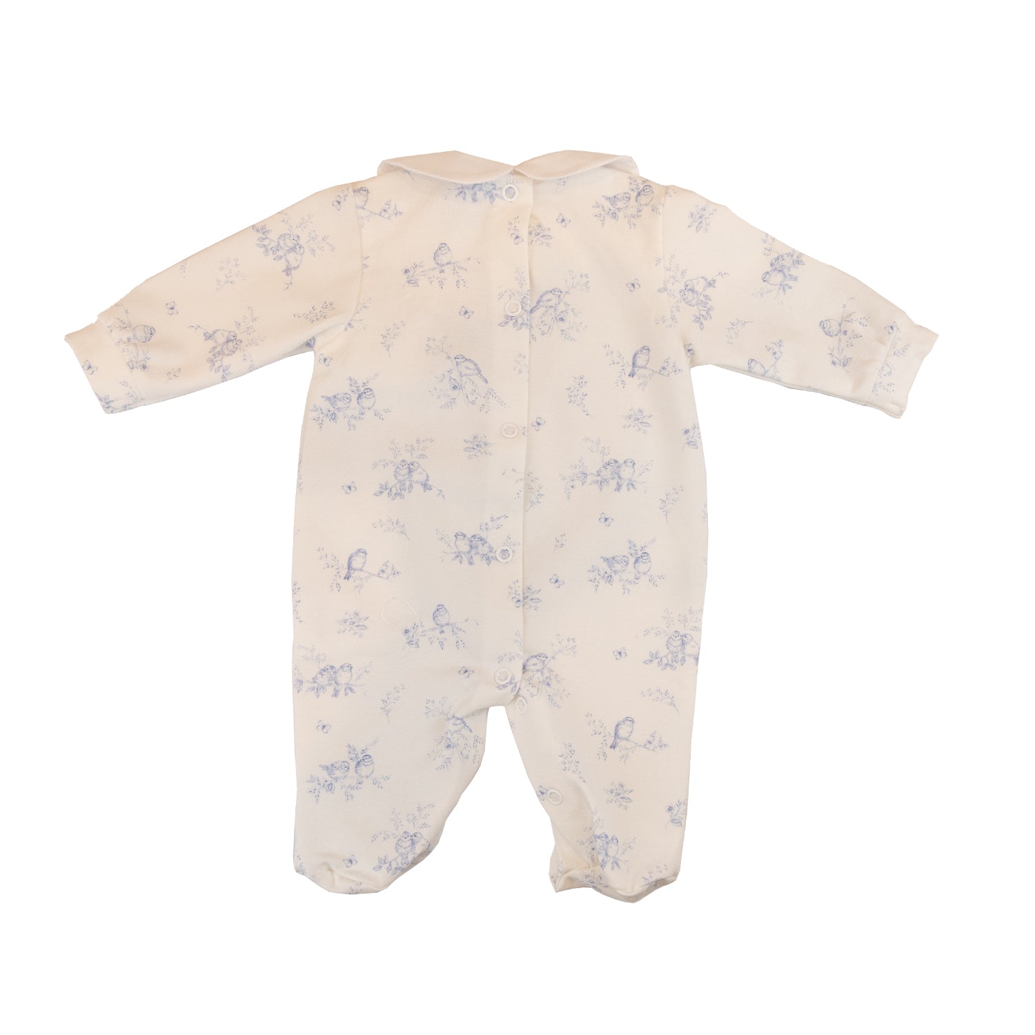 Baby Blue Birds All-in-one