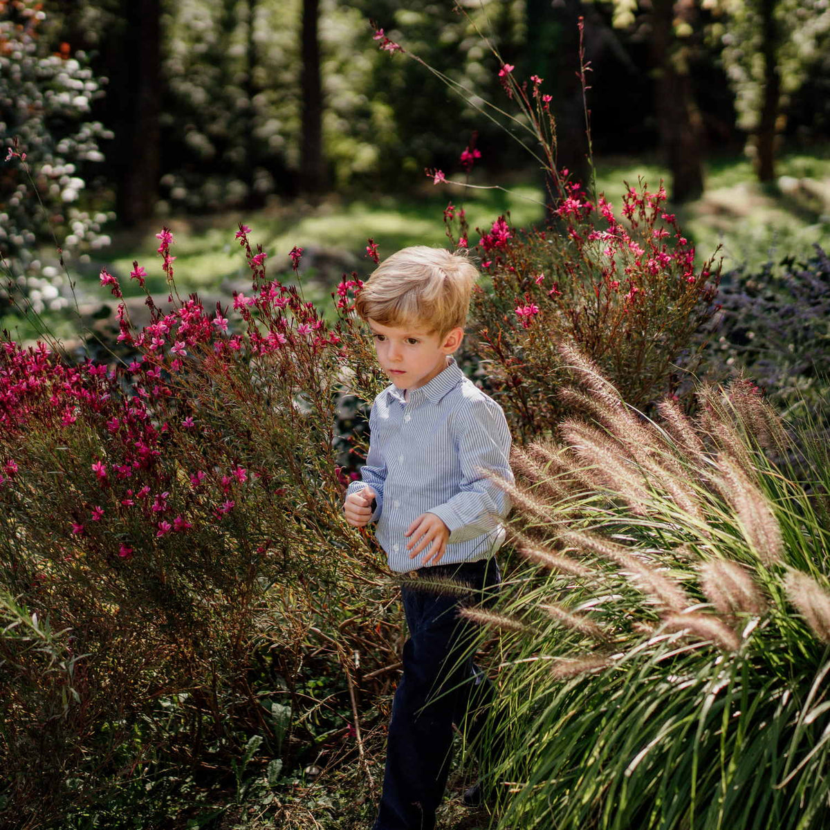 Boy Mayfair Stripe Shirt