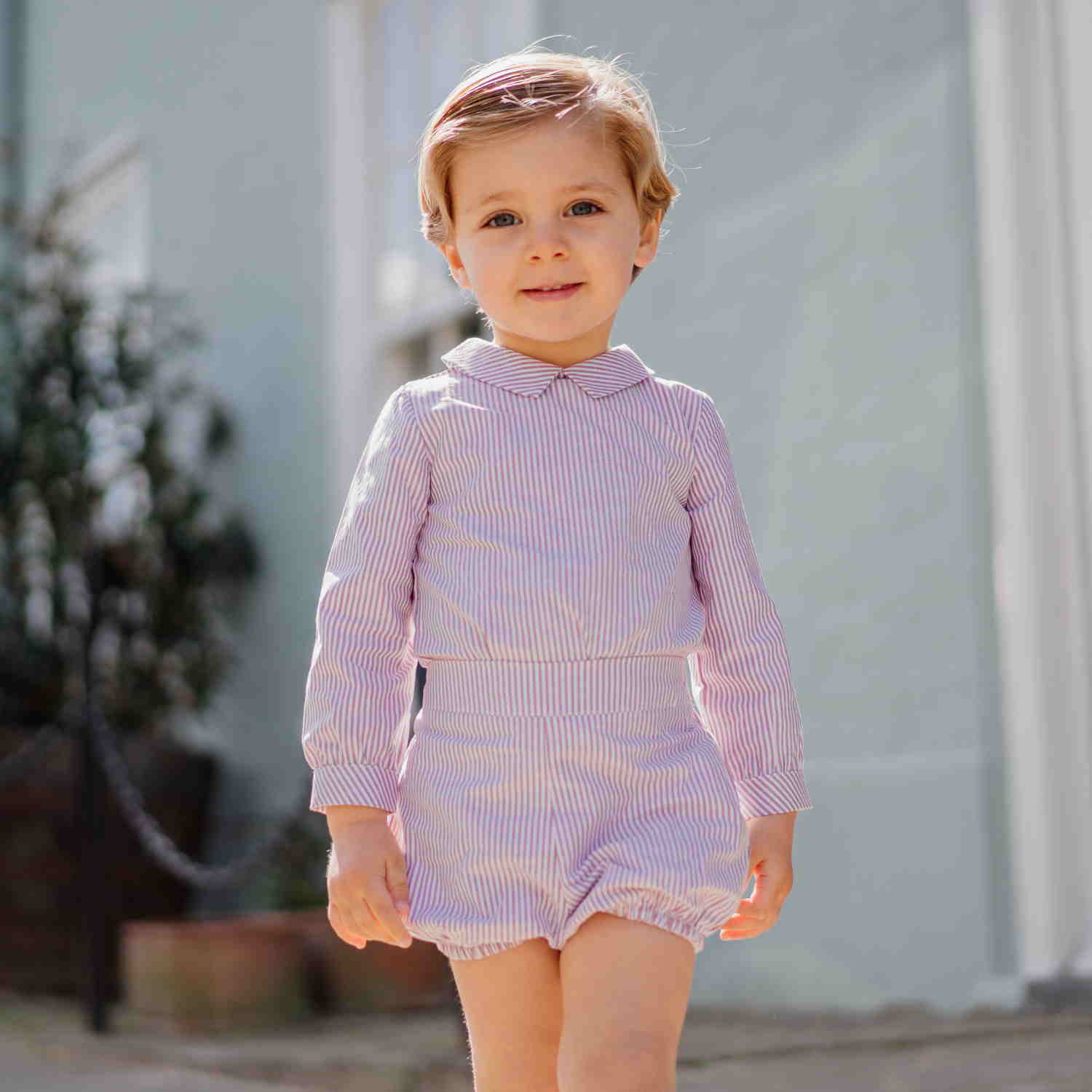 Baby Burgundy Mist Bloomers