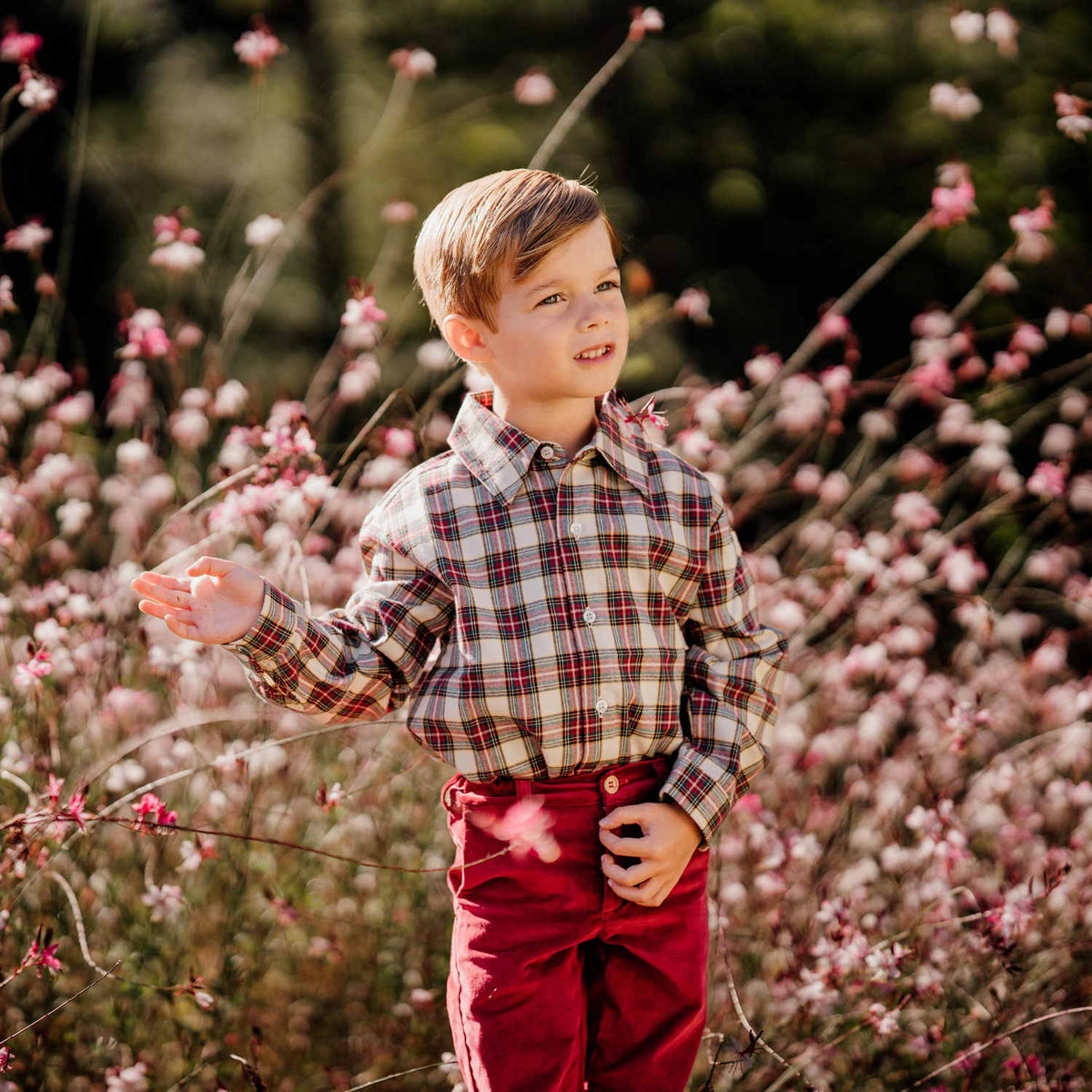 Boy Burgundy & Cream Tartan Shirt