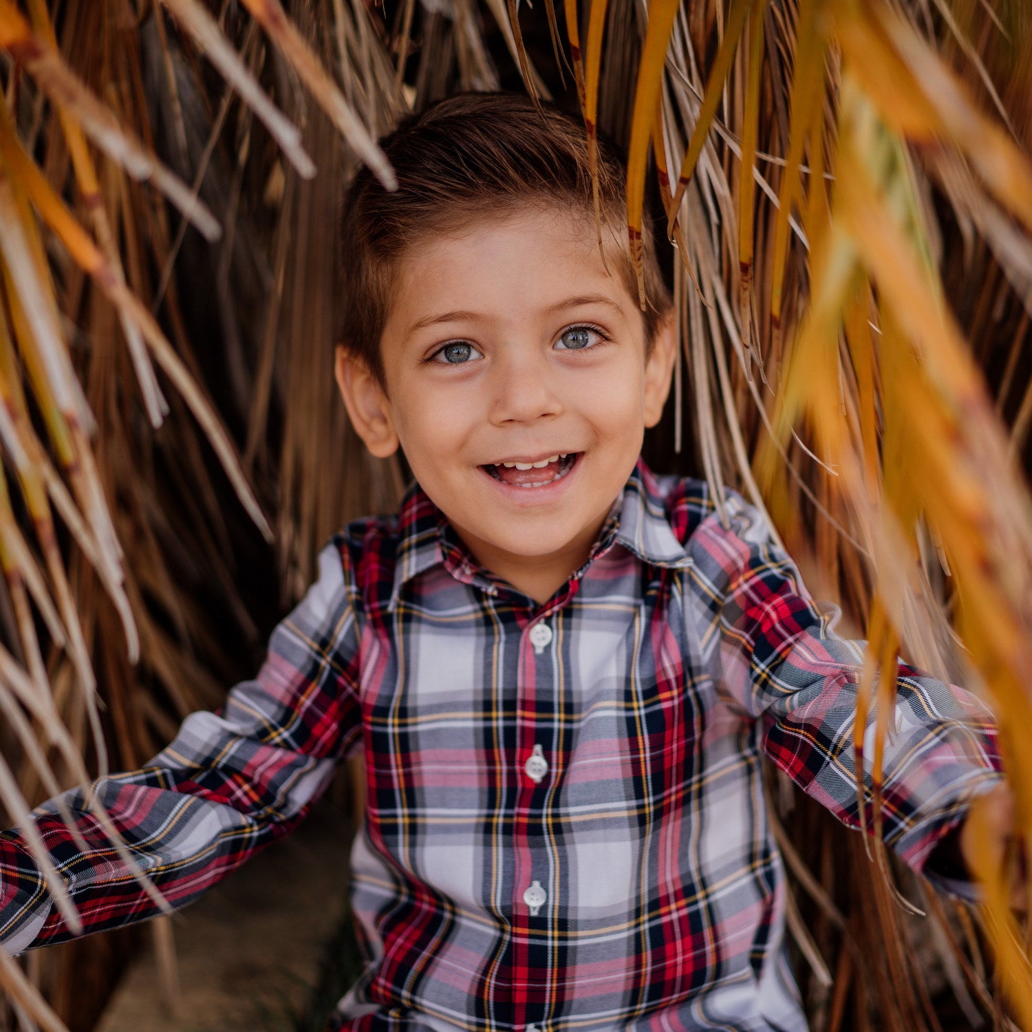 Boy Winterberry Tartan Shirt