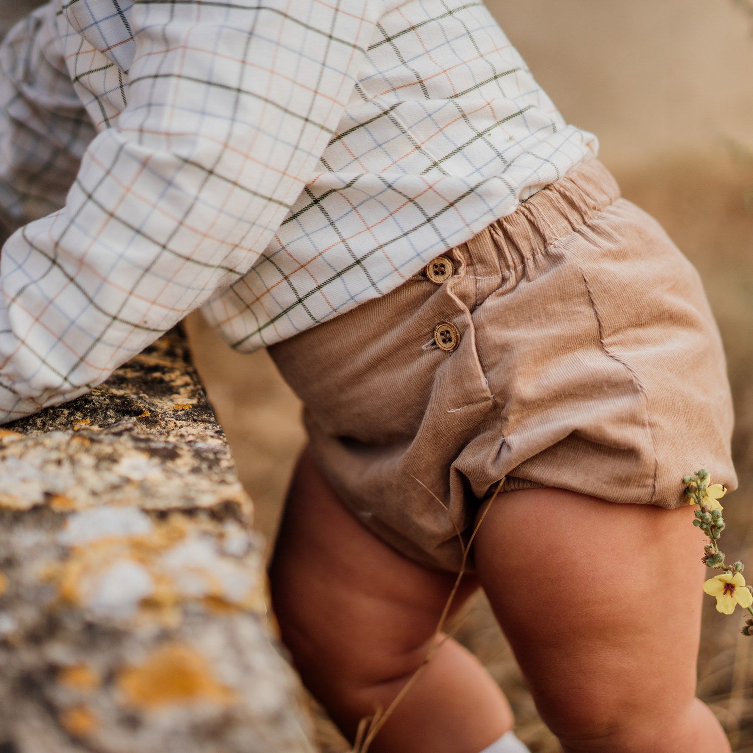 Baby Alpine Camel Cord Bloomers